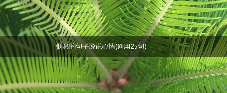 惬意的句子说说心情(通用25句),第1张
