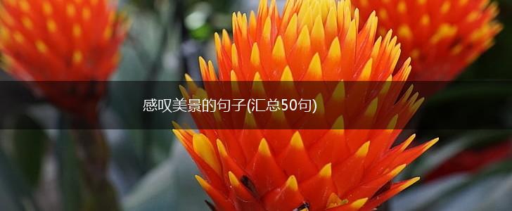 感叹美景的句子(汇总50句),第1张