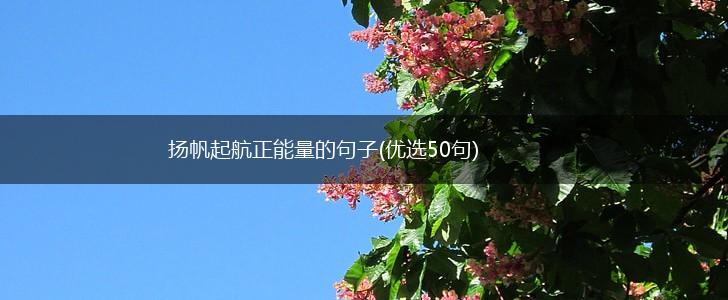 扬帆起航正能量的句子(优选50句),第1张