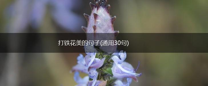 打铁花美的句子(通用30句),第1张