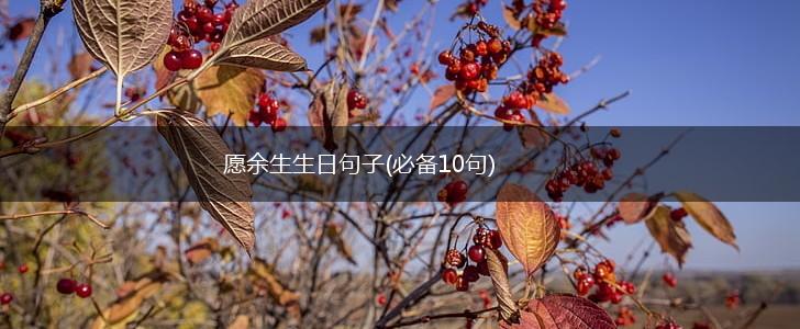 愿余生生日句子(必备10句),第1张