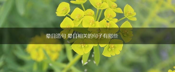 晕目造句 晕目相关的句子有那些,第1张