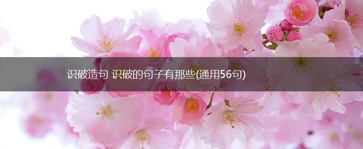 识破造句 识破的句子有那些(通用56句),第1张