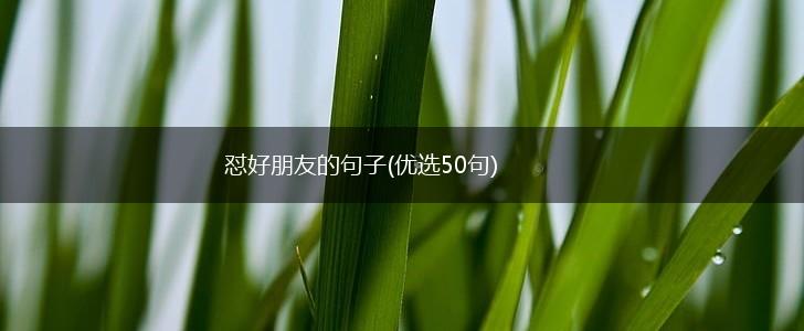 怼好朋友的句子(优选50句),第1张