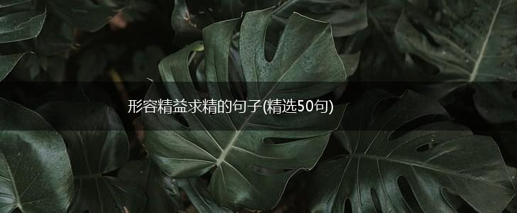 形容精益求精的句子(精选50句),第1张