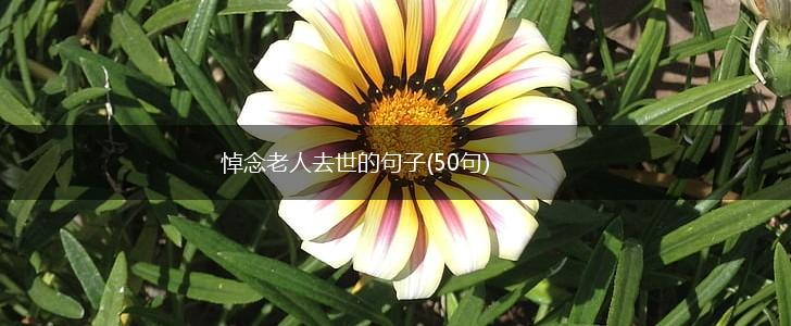 悼念老人去世的句子(50句),第1张