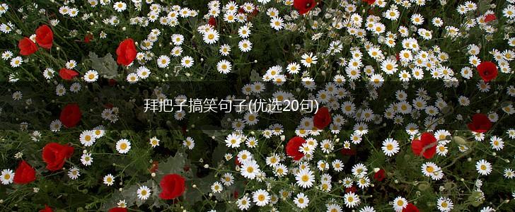 拜把子搞笑句子(优选20句),第1张
