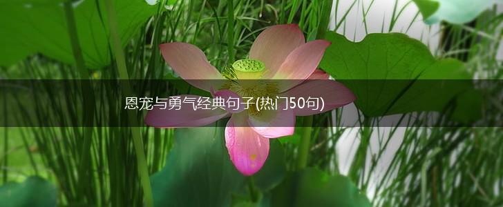 恩宠与勇气经典句子(热门50句),第1张