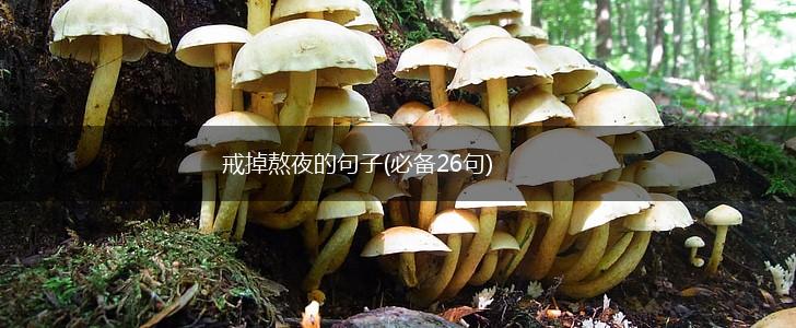 戒掉熬夜的句子(必备26句),第1张