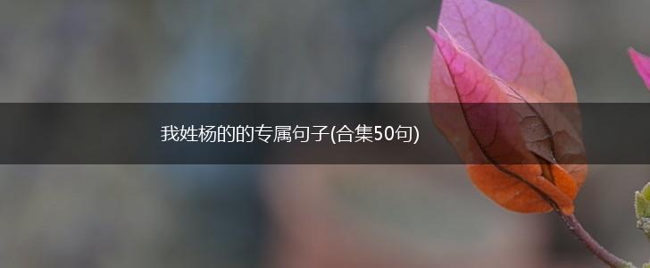 我姓杨的的专属句子(合集50句),第1张