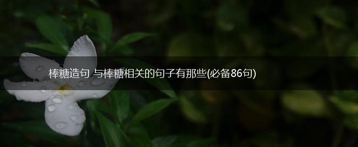 棒糖造句 与棒糖相关的句子有那些(必备86句),第1张