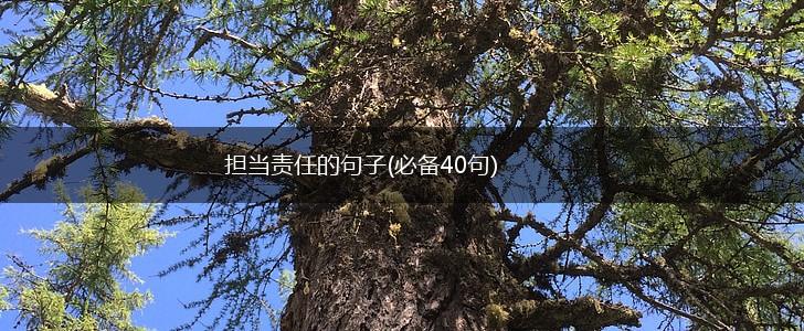 担当责任的句子(必备40句),第1张