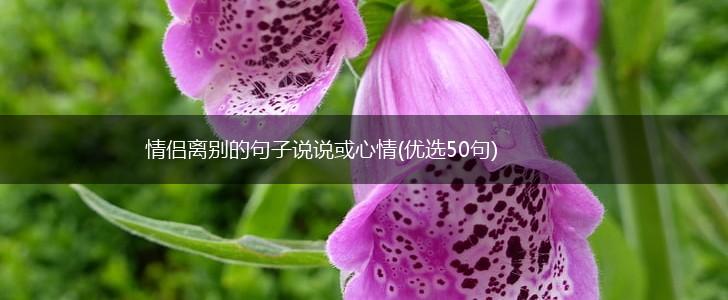 情侣离别的句子说说或心情(优选50句),第1张