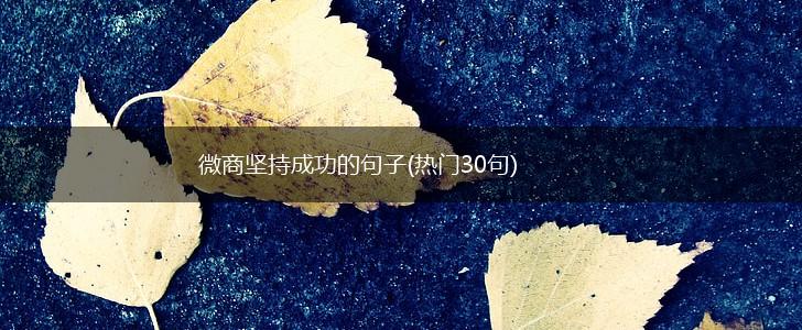 微商坚持成功的句子(热门30句),第1张