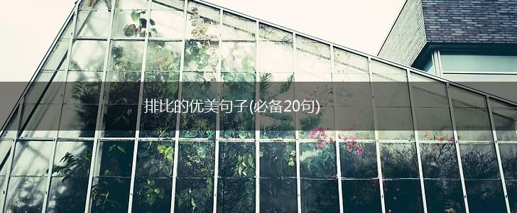 排比的优美句子(必备20句),第1张