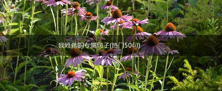 我姓蒋的专属句子(热门50句),第1张