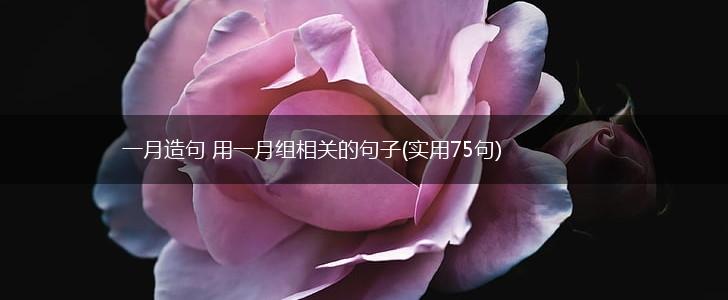 一月造句 用一月组相关的句子(实用75句),第1张
