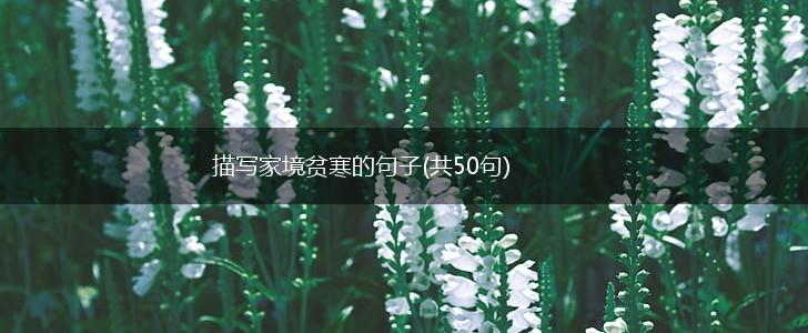 描写家境贫寒的句子(共50句),第1张