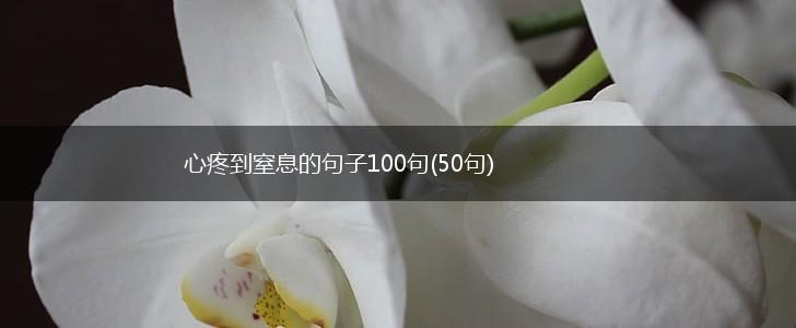 心疼到窒息的句子100句(50句),第1张