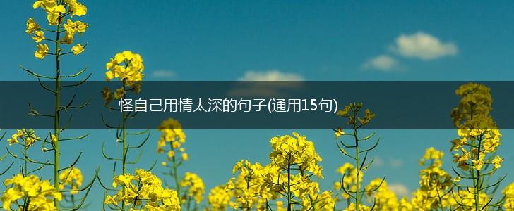 怪自己用情太深的句子(通用15句),第1张