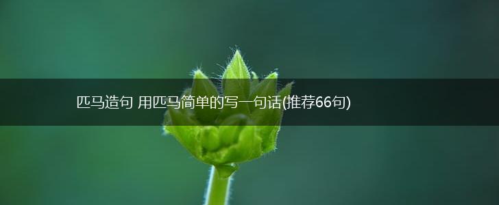 匹马造句 用匹马简单的写一句话(推荐66句),第1张