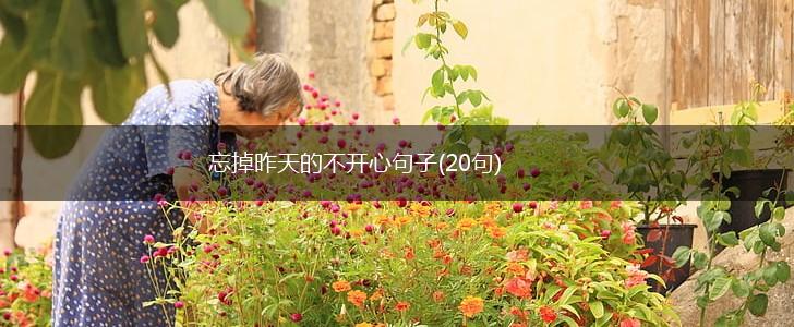 忘掉昨天的不开心句子(20句),第1张