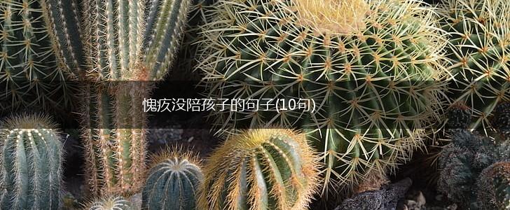 愧疚没陪孩子的句子(10句),第1张