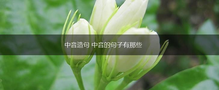 中音造句 中音的句子有那些,第1张