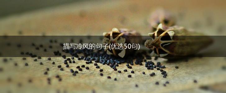 描写冷风的句子(优选50句),第1张