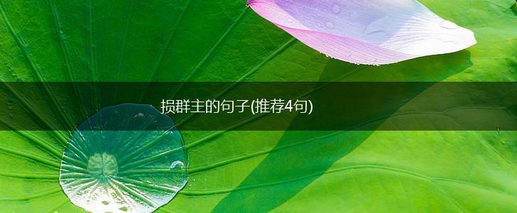 损群主的句子(推荐4句),第1张 损群主的句子(推荐4句),第1张