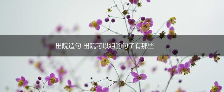 出院造句 出院可以组的句子有那些,第1张
