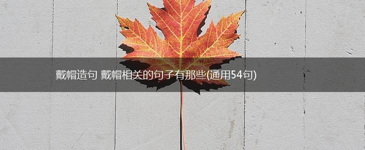 戴帽造句 戴帽相关的句子有那些(通用54句),第1张
