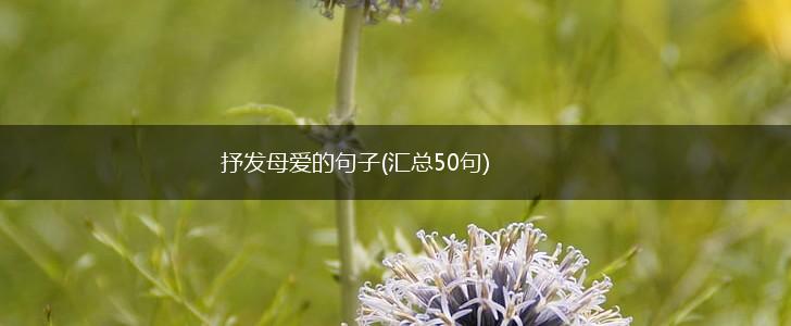抒发母爱的句子(汇总50句),第1张