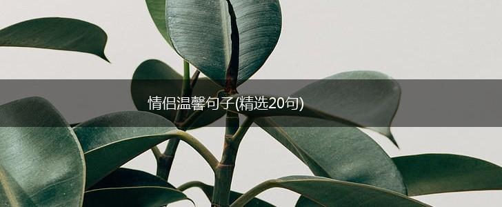 情侣温馨句子(精选20句),第1张