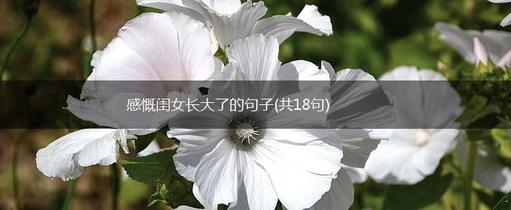 感慨闺女长大了的句子(共18句),第1张