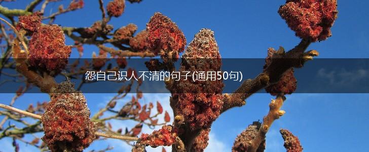 怨自己识人不清的句子(通用50句),第1张