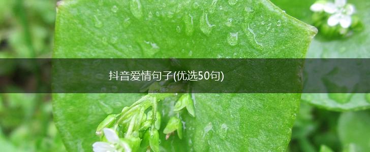抖音爱情句子(优选50句),第1张