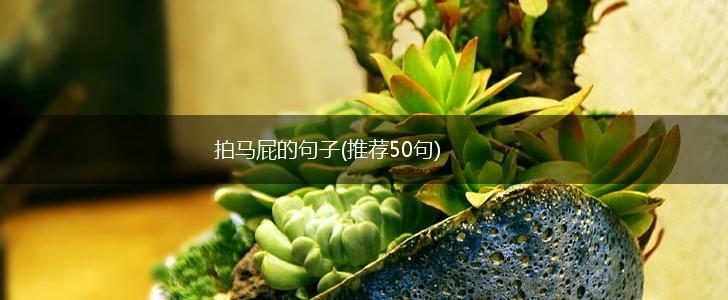 拍马屁的句子(推荐50句),第1张