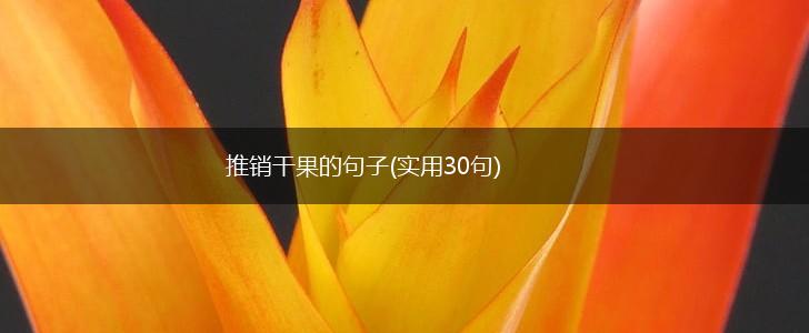 推销干果的句子(实用30句),第1张