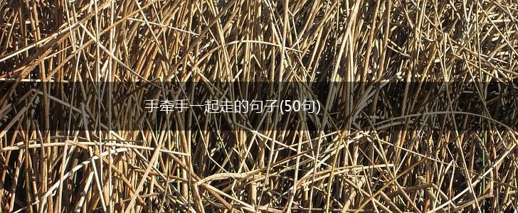 手牵手一起走的句子(50句),第1张