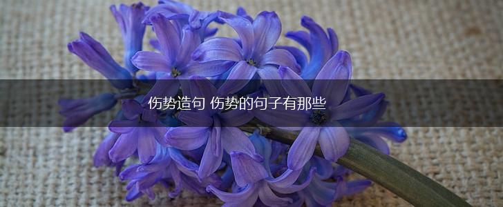 伤势造句 伤势的句子有那些,第1张