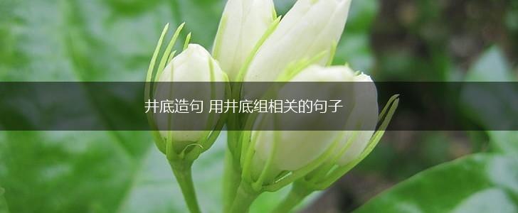 井底造句 用井底组相关的句子,第1张