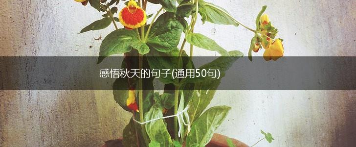 感悟秋天的句子(通用50句),第1张