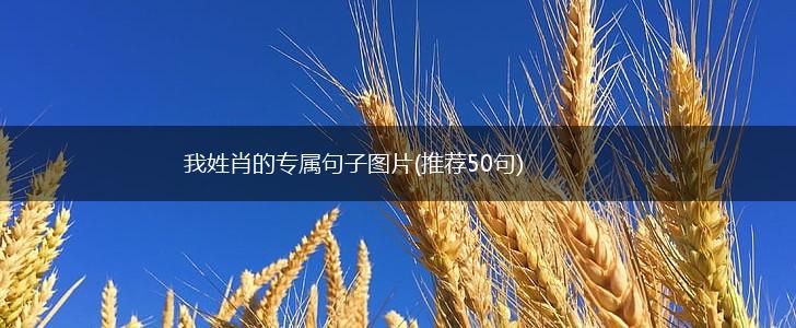 我姓肖的专属句子图片(推荐50句),第1张