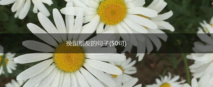 挽留朋友的句子(50句),第1张