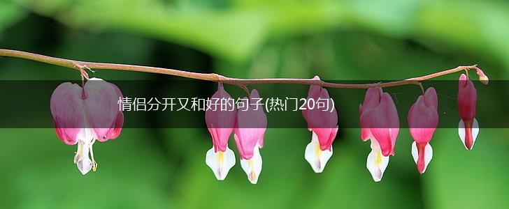 情侣分开又和好的句子(热门20句),第1张