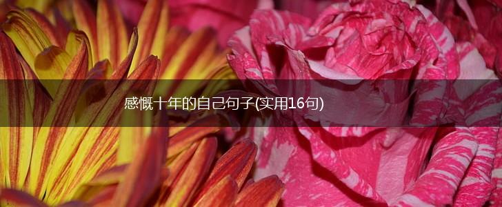 感慨十年的自己句子(实用16句),第1张