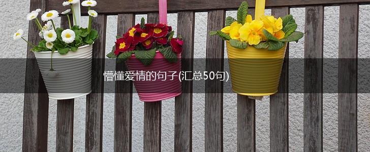 懵懂爱情的句子(汇总50句),第1张