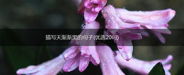 描写天渐渐黑的句子(优选20句),第1张