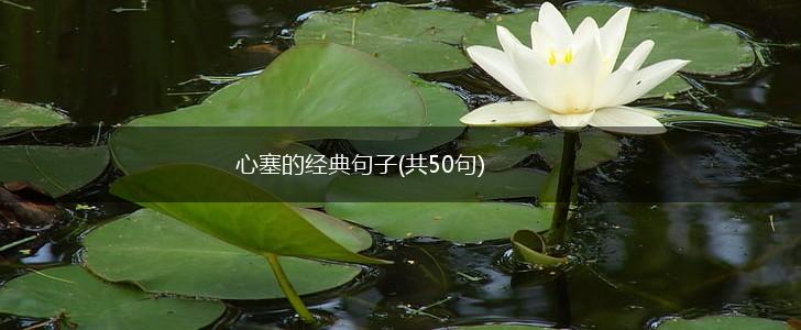 心塞的经典句子(共50句),第1张